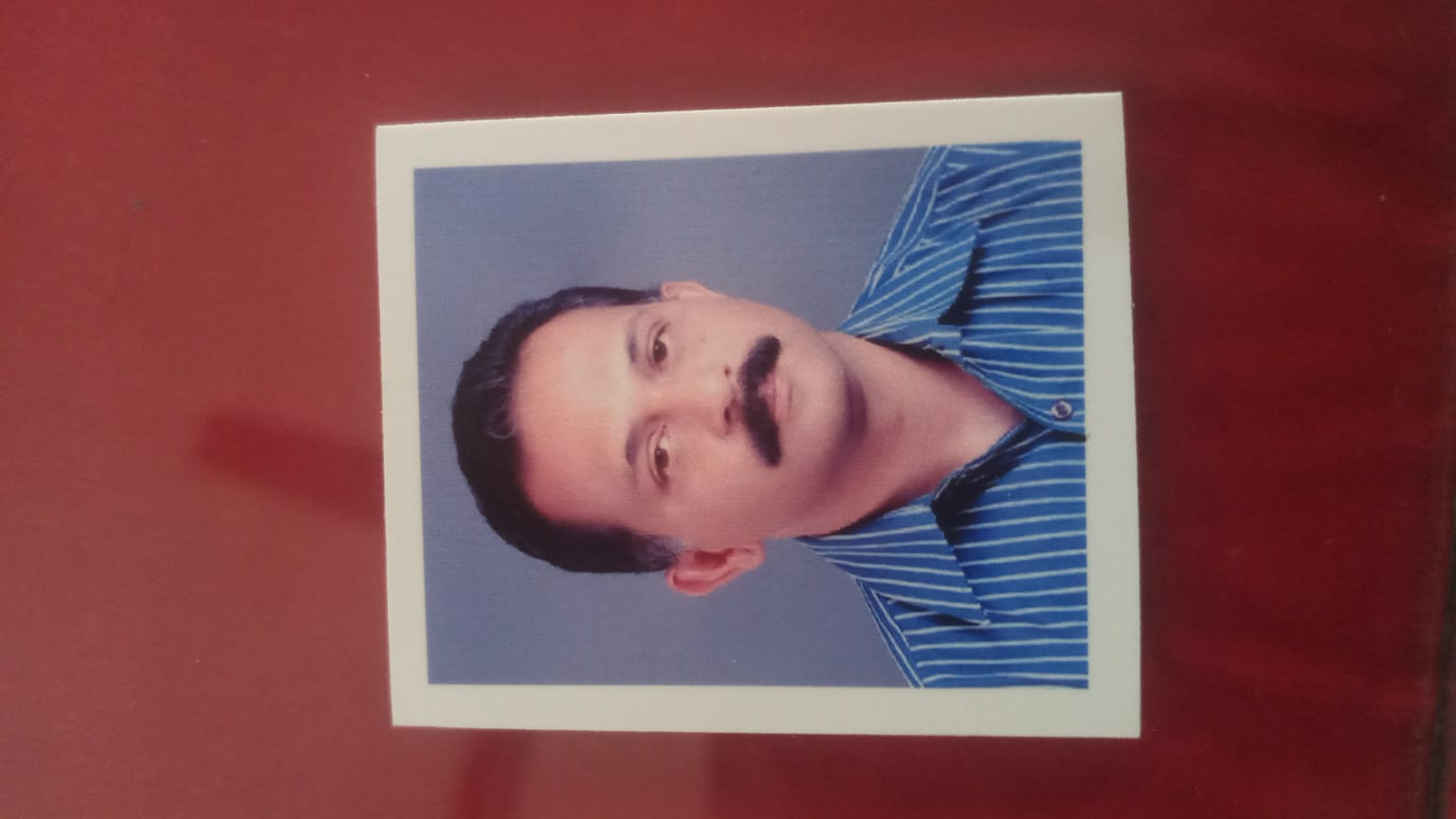 team member 01